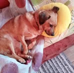 Julia Markowicz - Facebook