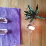 Julia Marlow - @redwingblakbirds - Instagram