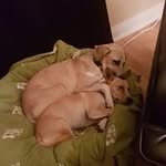 Julia Martell - @jmartell.1691 - Instagram