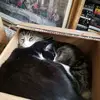 juliamartz3 - @juliamartz3 - TikTok