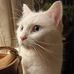 Julia McAfee - Facebook
