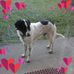 Julie McDonough - Facebook