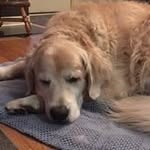 Julia McLaren - @tannerismydog - Instagram