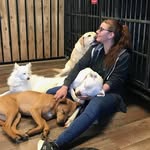 Julia McMaster - @caring4canine - Instagram