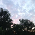 Julia McNally - @lovely_quotes_and_nature - Instagram