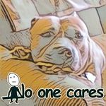 Julia Mcneely - @julia.mcneely.921 - Instagram