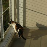 Julie Novak-McSweeney - @novak.mcs - Instagram
