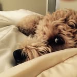Julie Meeks - @julesmeeks - Instagram