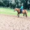 julia_albersmeier - @julia_albersmeier - TikTok