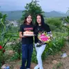 ❤️julia❤️ - @juliamejia1 - TikTok