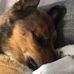 Julia Melvin - Facebook
