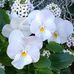 Julia Mendieta - Facebook