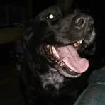 Julia Milam - Facebook