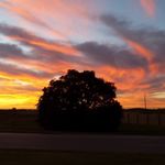 Julie Marie Minchew - @mattsonjulie - Instagram