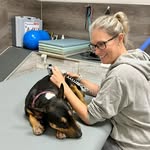 Julia Möller Tierphysiotherapeutin - @vetphysio.julia.moeller - Instagram