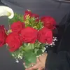 Julia Monge - @julia.monge7 - TikTok