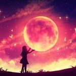Julia Moriarty - @julia.moriarty.965 - Instagram