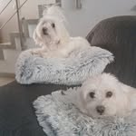 Julia Mosquera - @julia.mosquera.5 - Instagram