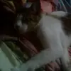 Julia Mosquera - @juliamosquera7 - TikTok
