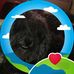 Julie Murrell - Facebook