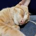 Julia Myles Sumilang - Facebook