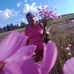 Julia Navarrete - Facebook