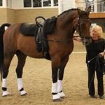 Julie Newell - @newell1473 - Instagram