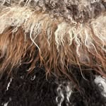 Julia Nutter - @crook_n_collie - Instagram