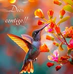 Julia Obregon - Facebook