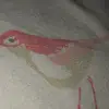 Julia - @julia.osterman - TikTok