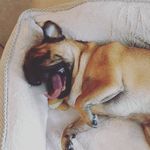 Julia Ostermann - @ostermann.julia - Instagram