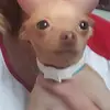 julialeepackers - @juliapackers1234 - TikTok