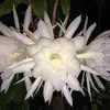 juliapadgett2 - @juliapadgett2 - TikTok