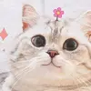_julia_ - @juliapankratova16 - TikTok