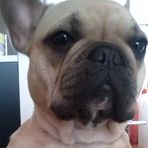 Julia Panzer - Facebook