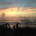 Julia Paradise Found Florida - Facebook
