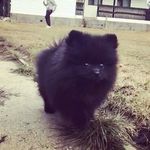Julia Parsons - @juli.aparsons716 - Instagram