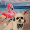Julia Paschal468 - @juliapaschal468 - TikTok