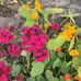 Julia Patel - Facebook