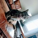 julia_pauley - @julia_pauley1 - Instagram