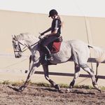 Julia Pedersen - @mitt_heste_liv - Instagram