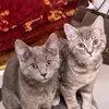 Julia 475 - @juliapelzer475 - TikTok
