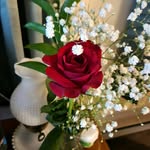 Julie Pender - @penderjulie2021 - Instagram