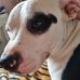 Julia Pinnegar - Facebook