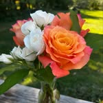 Julia Penland Dykstra - @juliasgarden_athens - Instagram