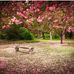 Julia Pennell - Facebook
