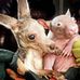 Julie Pennell - Facebook