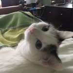 Julia Penrose - @juliapenrose3 - Instagram