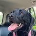 Julie Perdue - Facebook