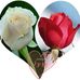 Julia Perez - Facebook